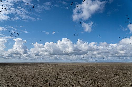 Unendlicher Raum an der friesischen Wattenküste