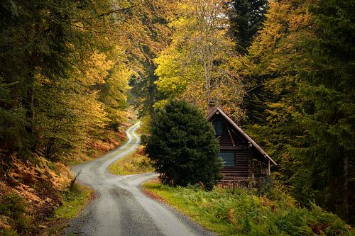 Black Forest forest hut