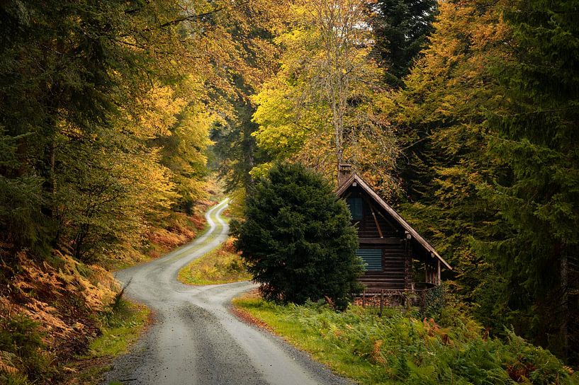 Schwarzwald Waldhütte von Guido de Kleijn