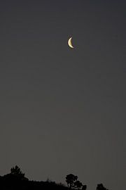 Noch ein bisschen Mond von Catch Chris