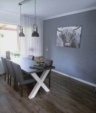 Portrait eines schottischen Hochlandviehs