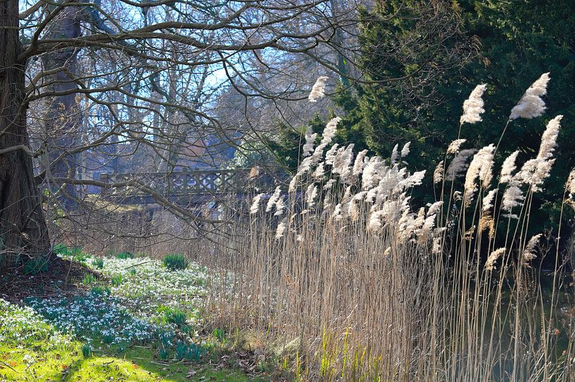Bridge in Clingendael by Micky Bish