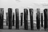 Paalhoofden, Dishoek, Zeeland
