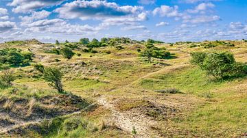 Dunes le long de la côte néerlandaise sur eric van der eijk