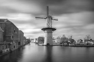 Molen de Kameel Schiedam van Ilya Korzelius