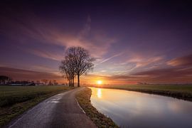 Abeilles du lever du soleil sur Marc Broekman Photography