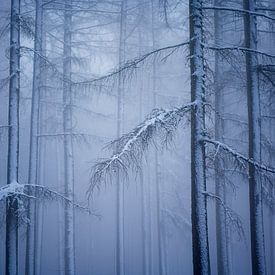 Winterwonderland van Andrew George