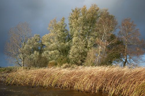 Harde wind op het Giethoornsmeer.