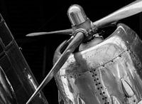 Wings of victory