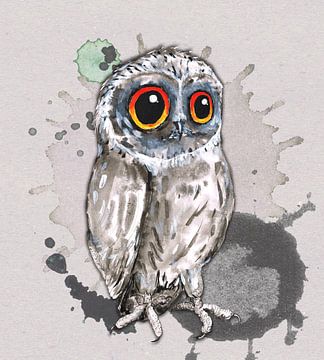 Cute little owl by Bianca Wisseloo