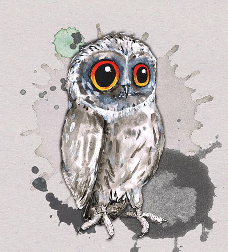 Cute little owl