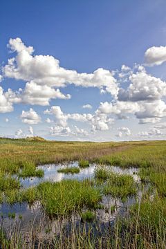 Texel duinlandschap / Texel dune landscape van Justin Sinner Pictures ( Fotograaf op Texel)