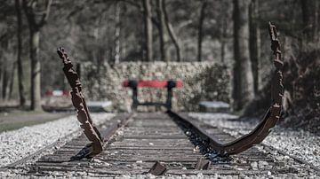 Spoorrails Westerbork van FinePixel
