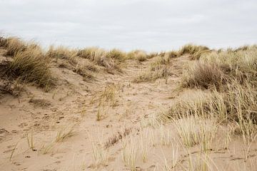 Sentier des dunes en février sur Evelien van Rijn