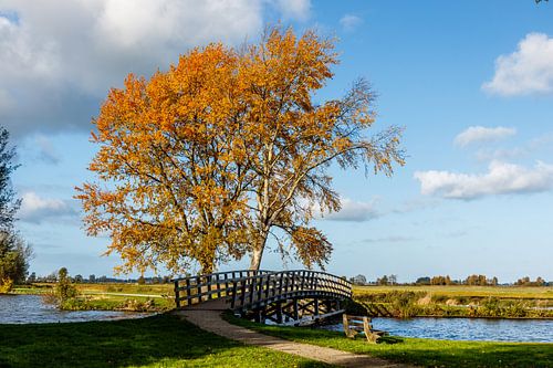 Brug over water