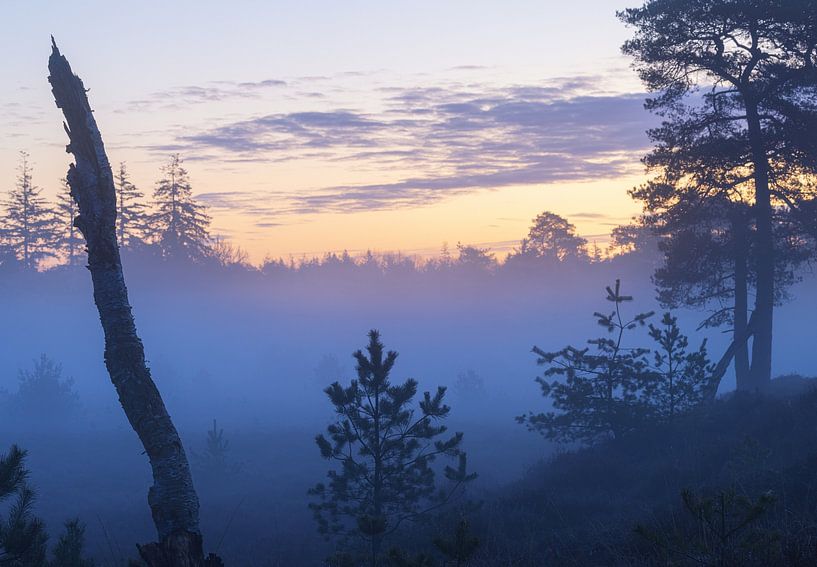 Sunrise Drents-Friese Wold - Hoekenbrink (Netherlands) by Marcel Kerdijk