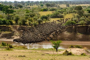 The Great Migration van Sjaak Kooijman