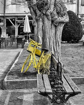 Le vélo jaune von Catherine Fortin