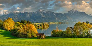 Le lac Forggensee en automne sur Markus Lange