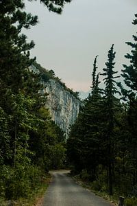 Un mystérieux chemin de rochers à Arco, en Italie sur Manon Verijdt