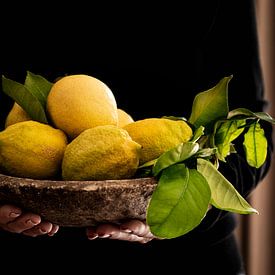 Lemons by Valerie Boehlen