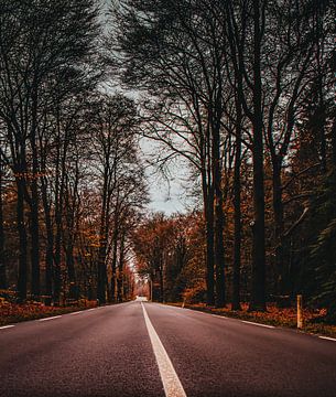 Beautiful road with autumn atmosphere.