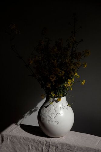 Still life of turnip seed in shade of spring light