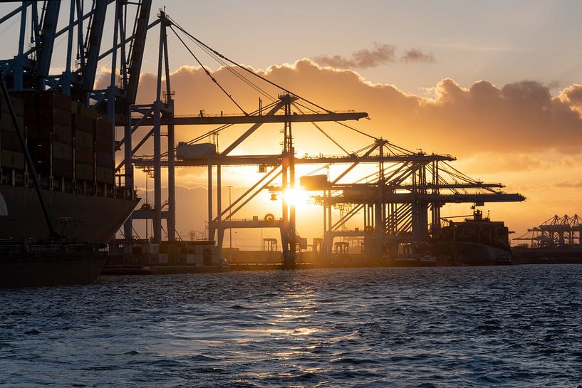 Containerterminal 2 van Nuance Beeld