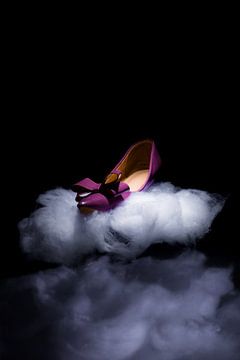 Damenschuh - in den Wolken von Tom Van den Bossche