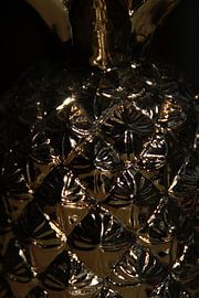 Ananas, Pineapple sur Yvonne de Waal Malefijt