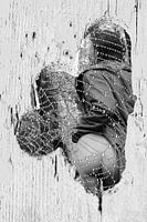 half naked woman seen through see through with wet spiderweb in wooden fence