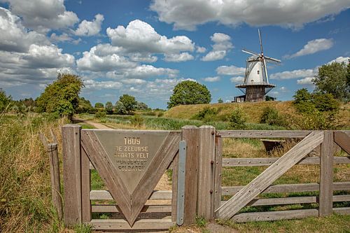 molen de Koe van Veere