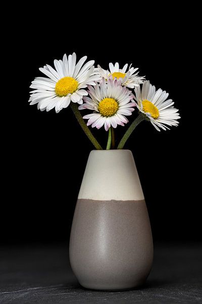 Stillleben IV - Gänseblümchen von Uwe Ulrich Grün