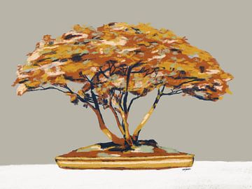 Bonsai boom van Studio Carper