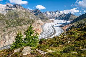 Aletschgletscher, Wallis in der Schweiz