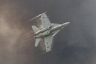 U.S. Navy Boeing F/A-18F Super Hornet. van Jaap van den Berg thumbnail