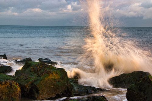 Played with the shutter speed for this dynamic