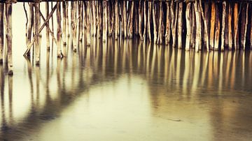 Water and Wood by Tobias Luxberg