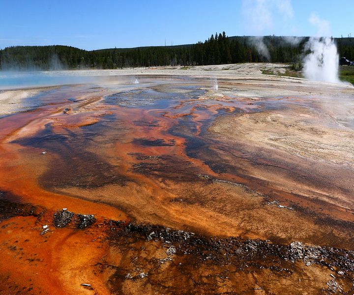 Hot springs and their colors by Christiane Schulze
