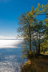 Rügen - Herbst an der Steilküste im Nationalpark Jasmund