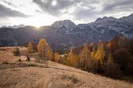 Albanische Berge von Ellis Peeters Miniaturansicht