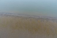 Areal view over the muddy beach and shallow waters of the Atlant by Werner Lerooy thumbnail