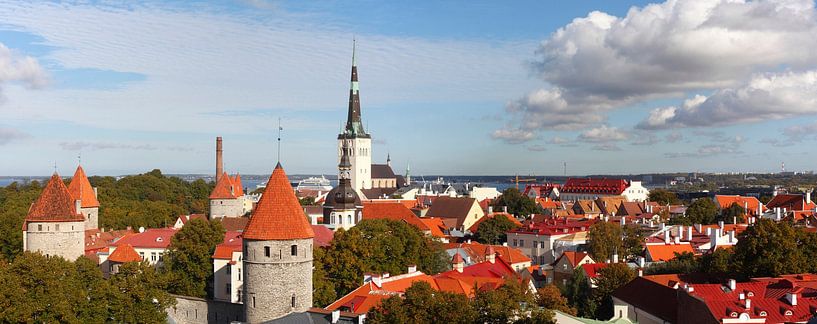 Ausblick vom Domberg auf die Unterstadt, Altstadt mit der Olaikirche oder Oleviste Kirik, und den T� von Torsten Krüger