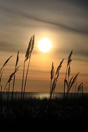 Romantische Ostsee von Thomas Jäger