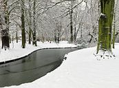 Sneeuw op landgoed Hoekenburg van Frans Rutten thumbnail