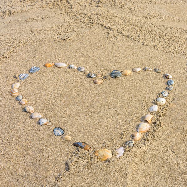 Sable un peu d'amour par Patrick Herzberg