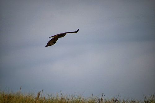 Auf dem Weg in die Freiheit