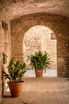 Terrakotta-Vasen im Ibiza-Stil von Frans Scherpenisse