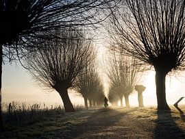 In the distance (color) by Lex Schulte