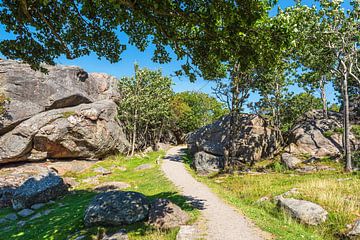 Hiking trail on the archipelago island of Monsøya in Norway by Rico Ködder